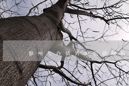 鄞州专办债务纠纷律师诉讼费 鄞州专办债务纠纷律师诉讼费