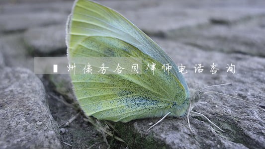 鄞州债务合同律师电话咨询 鄞州债务合同律师电话咨询