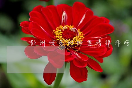 鄞州债务纠纷要请律师吗 鄞州债务纠纷要请律师吗