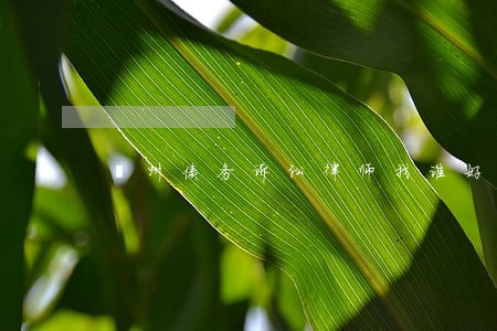 鄞州债务诉讼律师找谁好 鄞州债务诉讼律师找谁好