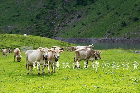 鄞州债权债务律师起诉费用 鄞州债权债务律师起诉费用