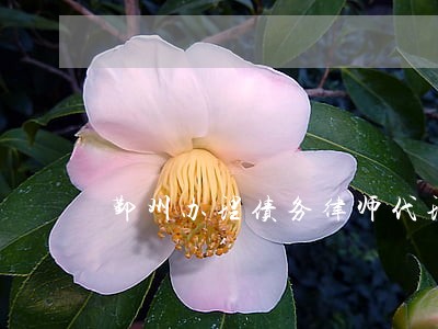 鄞州办理债务律师代理费 鄞州办理债务律师代理费