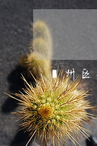 鄞州区债务律师 鄞州区债务律师