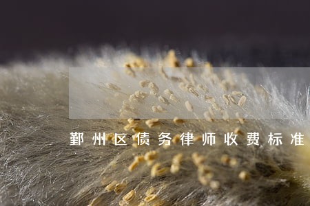 鄞州区债务律师收费标准 鄞州区债务律师收费标准
