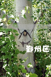 鄞州区债务律师网 鄞州区债务律师网