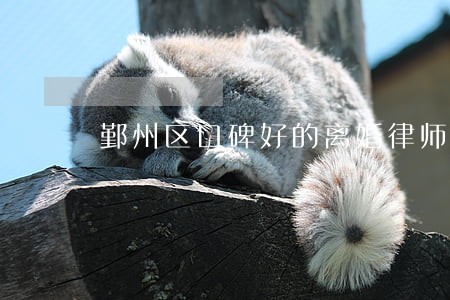 鄞州区口碑好的离婚律师 鄞州区口碑好的离婚律师