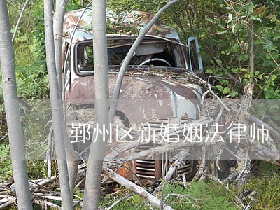 鄞州区新婚姻法律师 鄞州区新婚姻法律师