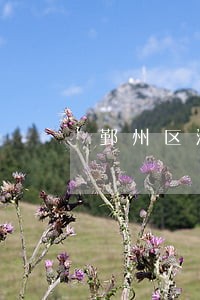 鄞州区涉外股权投融资律师哪个好 鄞州区涉外股权投融资律师哪个好