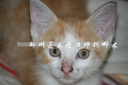 鄞州区离婚律师找哪家 鄞州区离婚律师找哪家