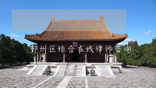 鄞州区综合在线律师咨询