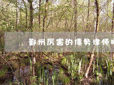 鄞州厉害的债务律师哪里找 鄞州厉害的债务律师哪里找