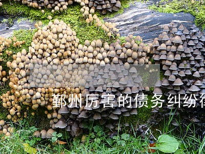 鄞州厉害的债务纠纷律师 鄞州厉害的债务纠纷律师
