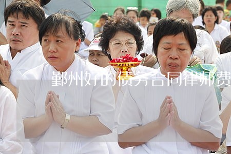 鄞州好的债务合同律师费 鄞州好的债务合同律师费