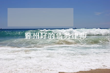 鄞州好的债务律师