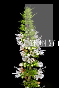 鄞州好的债务纠纷律师咨询费用 鄞州好的债务纠纷律师咨询费用