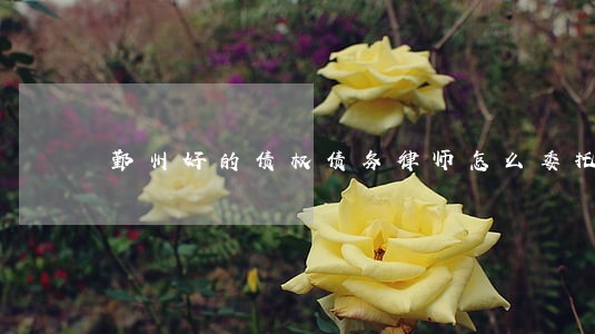 鄞州好的债权债务律师怎么委托 鄞州好的债权债务律师怎么委托
