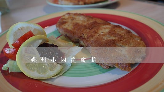 鄞州小闪贷逾期 鄞州小闪贷逾期