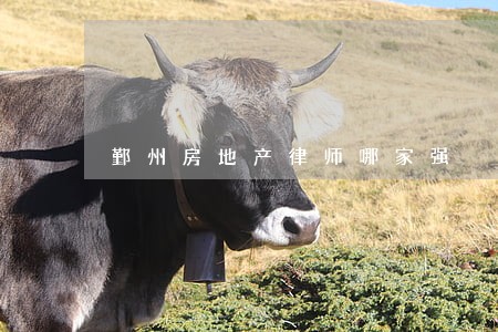 鄞州房地产律师哪家强 鄞州房地产律师哪家强