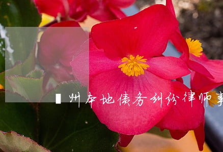 鄞州本地债务纠纷律师事务所