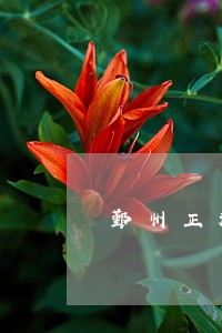 鄞州正规债务纠纷律师团队 鄞州正规债务纠纷律师团队