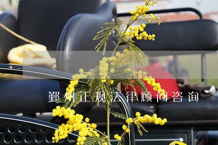 鄞州正规法律顾问咨询 鄞州正规法律顾问咨询