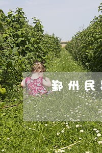 鄞州民事债务律师费用 鄞州民事债务律师费用