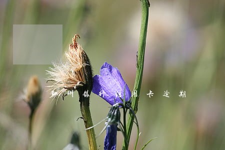 鄞州银行信用卡逾期