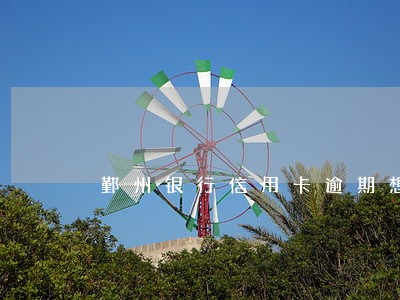 鄞州银行信用卡逾期想还钱跟谁去