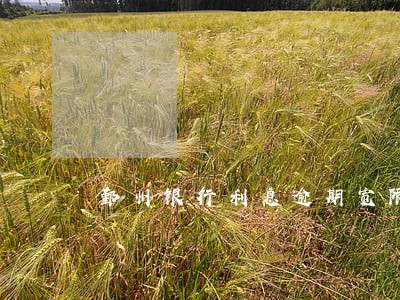鄞州银行利息逾期宽限日期是几天 鄞州银行利息逾期宽限日期是几天
