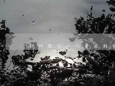 鄞州银行小闪贷逾期会上门讨债吗