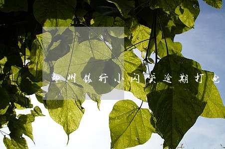 鄞州银行小闪贷逾期打电话 鄞州银行小闪贷逾期打电话