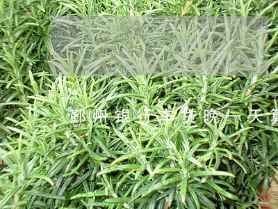 鄞州银行车贷晚一天算逾期吗 鄞州银行车贷晚一天算逾期吗