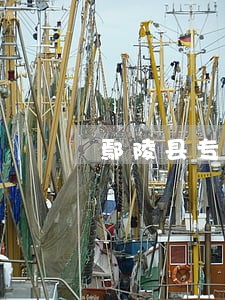 鄢陵县专业海关商检案件律师 鄢陵县专业海关商检案件律师