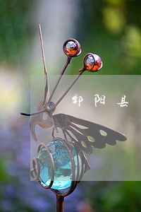 鄱阳县欠款债务律师哪个好 鄱阳县欠款债务律师哪个好