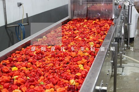 鄱阳摩托车年检逾期一年半 鄱阳摩托车年检逾期一年半