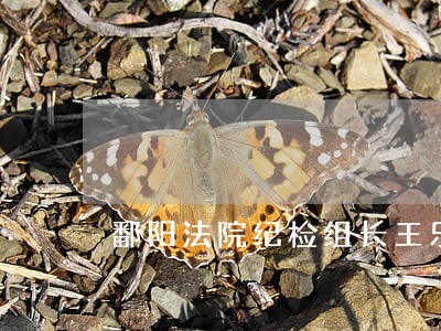 鄱阳法院纪检组长王乐同后续 鄱阳法院纪检组长王乐同后续