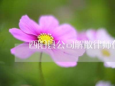 酉阳县公司解散律师在线免费咨询 酉阳县公司解散律师在线免费咨询