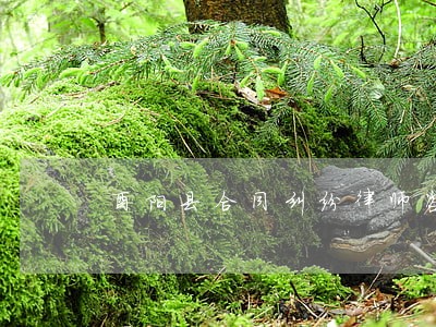 酉阳县合同纠纷律师咨询电话 酉阳县合同纠纷律师咨询电话