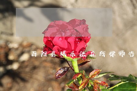 酉阳县娱乐法在线律师咨询 酉阳县娱乐法在线律师咨询