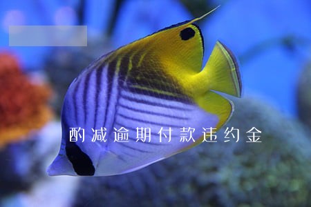 酌减逾期付款违约金 酌减逾期付款违约金