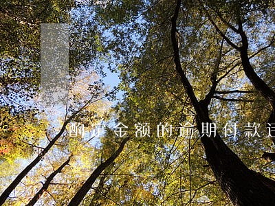 酌定金额的逾期付款违约金 酌定金额的逾期付款违约金