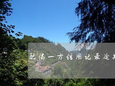 配偶一方信用记录逾期90天 配偶一方信用记录逾期90天