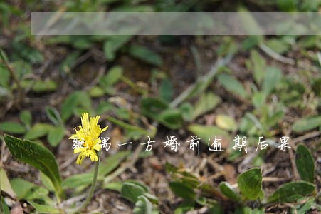 配偶一方婚前逾期后果 配偶一方婚前逾期后果