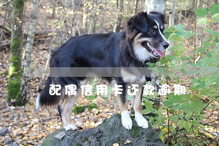 配偶信用卡还款逾期 配偶信用卡还款逾期