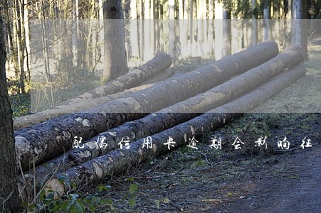 配偶信用卡逾期会影响征信吗