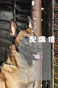 配偶信用卡逾期会影响房贷 配偶信用卡逾期会影响房贷