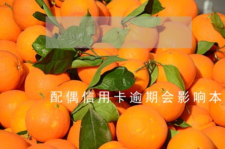 配偶信用卡逾期会影响本人吗 配偶信用卡逾期会影响本人吗