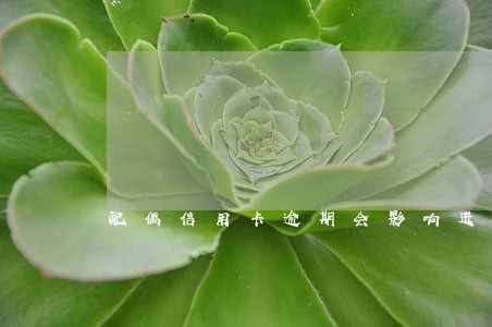 配偶信用卡逾期会影响进国企吗 配偶信用卡逾期会影响进国企吗