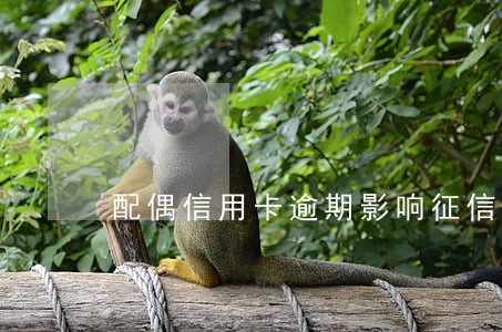 配偶信用卡逾期影响征信吗 配偶信用卡逾期影响征信吗