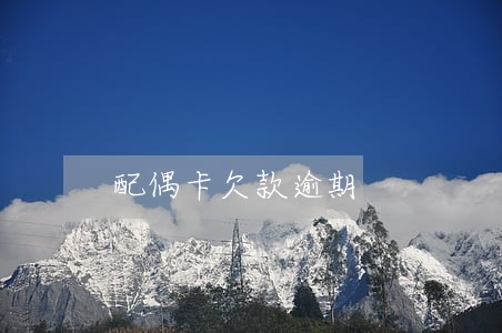 配偶卡欠款逾期